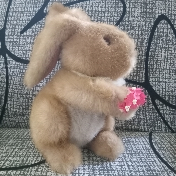 Fluffy Bunny Rabbit - Picture 2 of 4